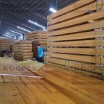 400 x 63mm Structural LVL Engineered Wood H2S Treated SENSO Frame E13