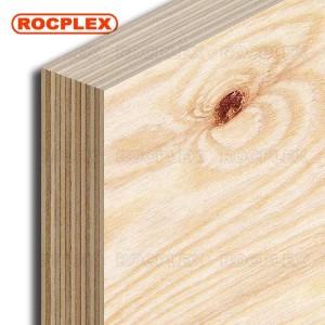 CDX Pine Plywood 2440 x 1220 x 19mm CDX Grade Ply ( Common: 3/4 in. 4 ft. x 8 ft. CDX Project Panel )