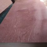 Sapele plywood 1220mmx2440mm  2.7-21mm